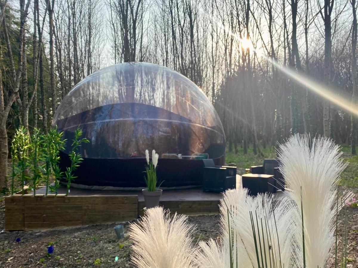 Logement Insolite "Bubble Jungle" Saint-Évarzec Dış mekan fotoğraf