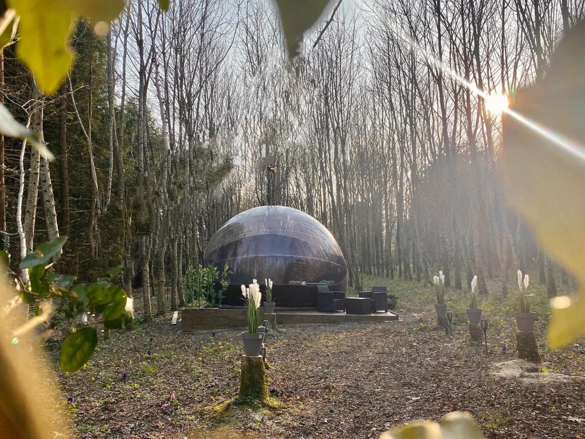Logement Insolite "Bubble Jungle" Saint-Évarzec Dış mekan fotoğraf